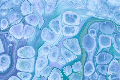 biofact-12research