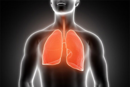 biofact-1research