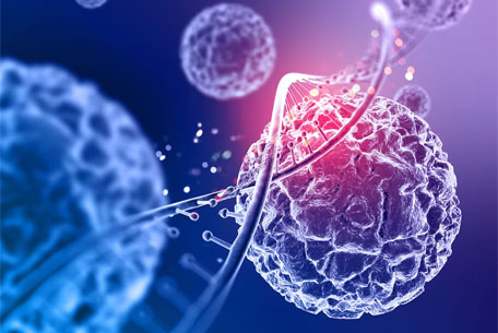 biofact-6research